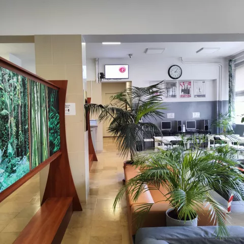 A rest and relaxation area for students in beige and gray colors, with sofas and plants