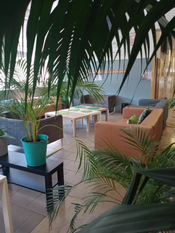 A rest and relaxation area for students in beige and gray colors, with sofas and plants