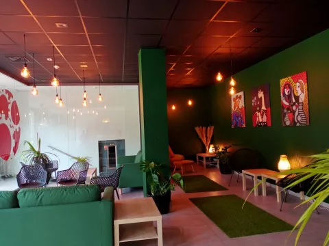 A rest and relaxation area for students in beige and green colors, with lighting and plants